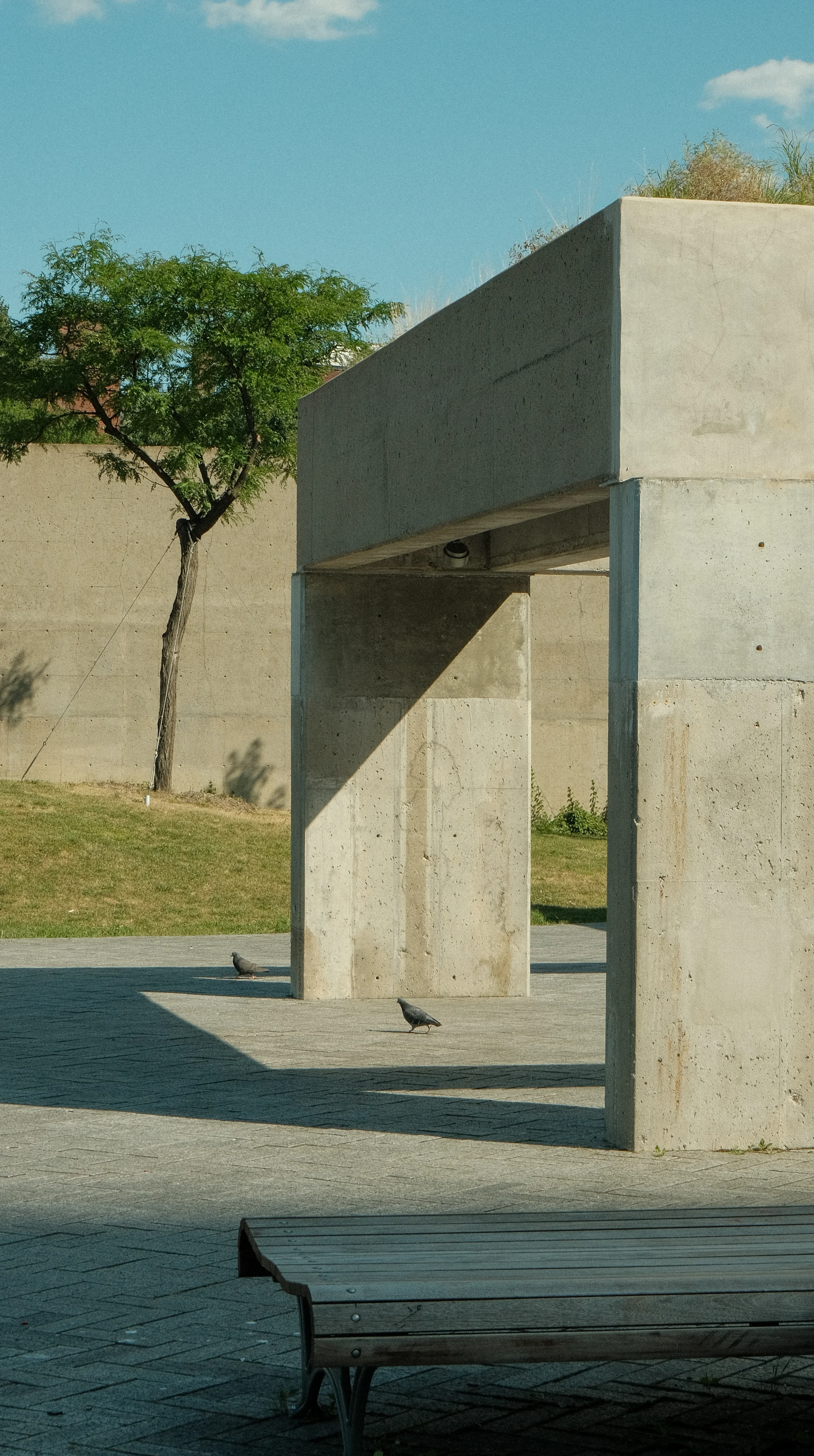 A modern concrete structure with a flat roof and large, open sides. A tree stands to the left, and there is a paved area with a bench below the structure. Two pigeons are walking on the ground.