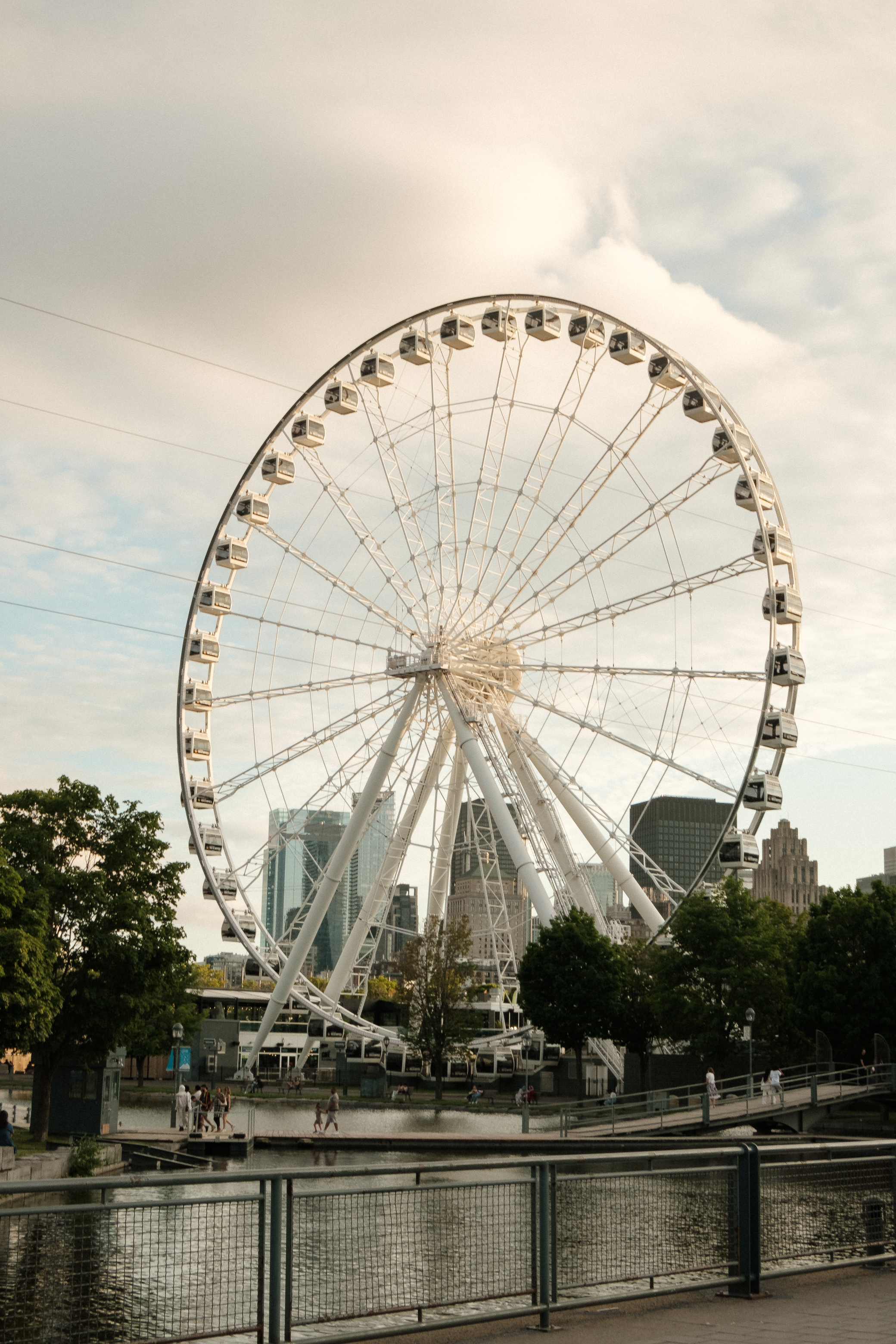 Ferris Wheel in City Park